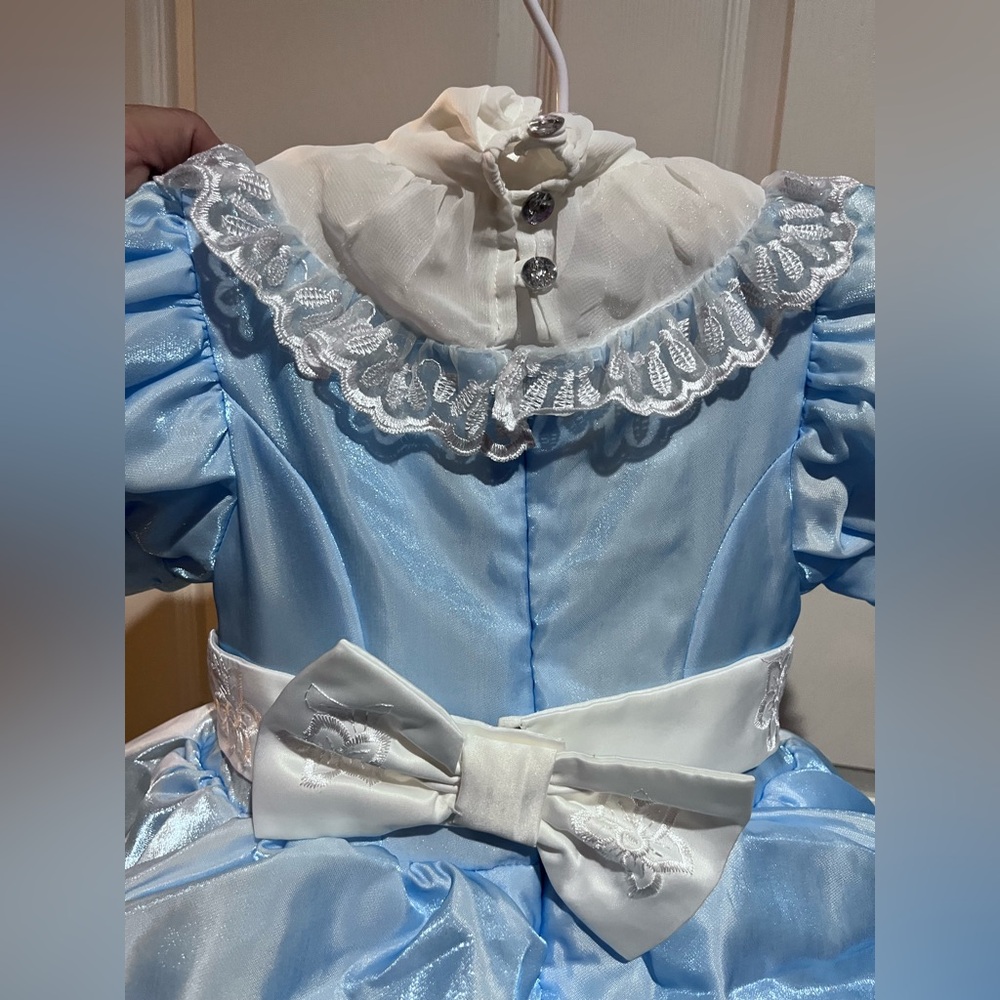 CHASING FIREFLIES DELUXE GIRLS ALICE IN WONDERLAND BLUE COSTUME DRESS NWOT. - Picture 11 of 11